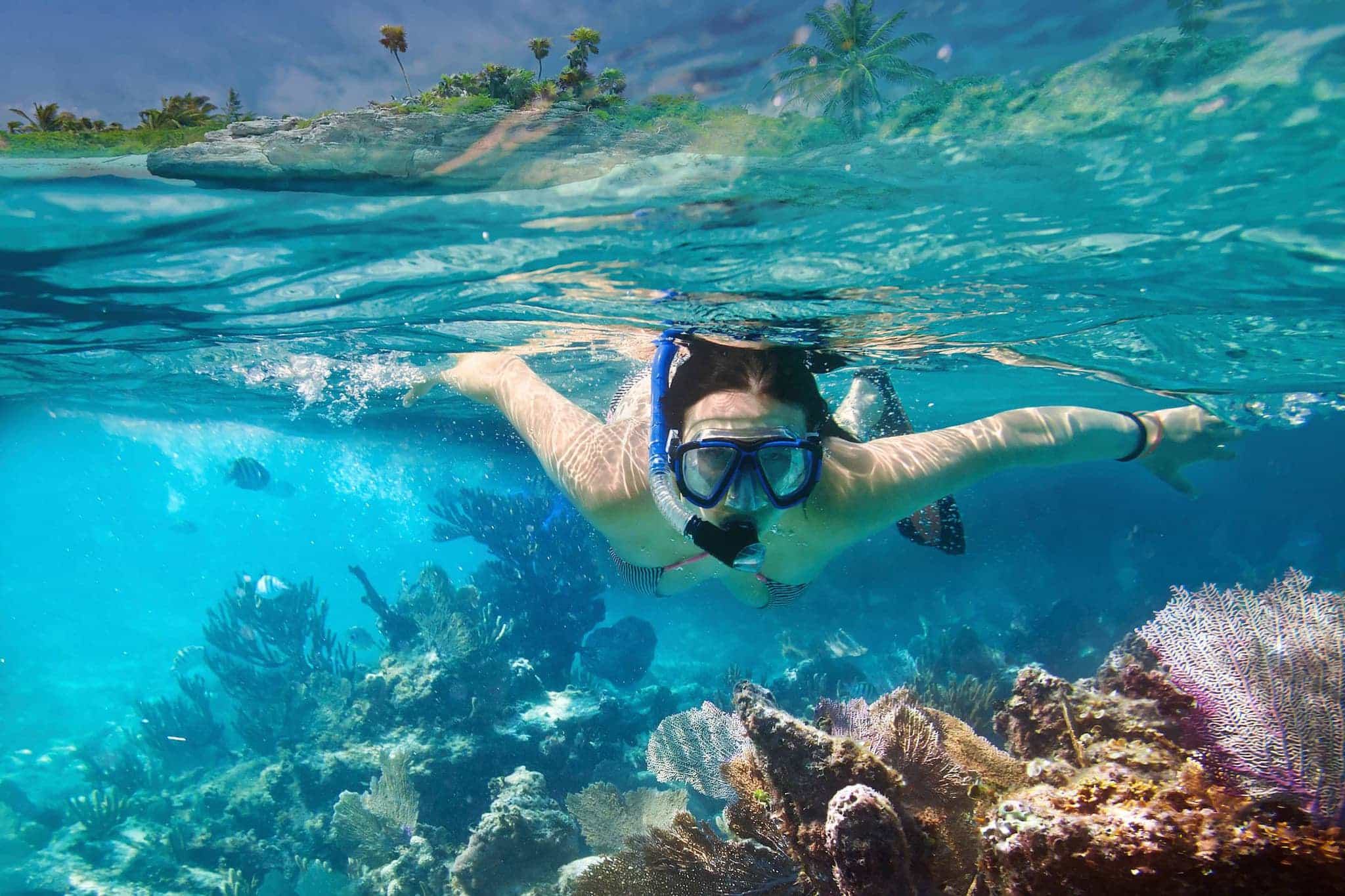 Snorkeling in Mexico