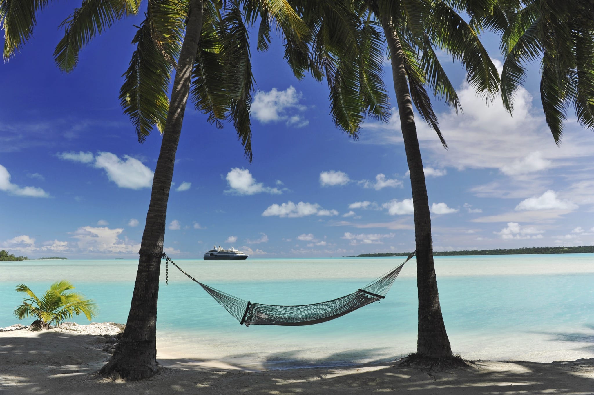 Hammock