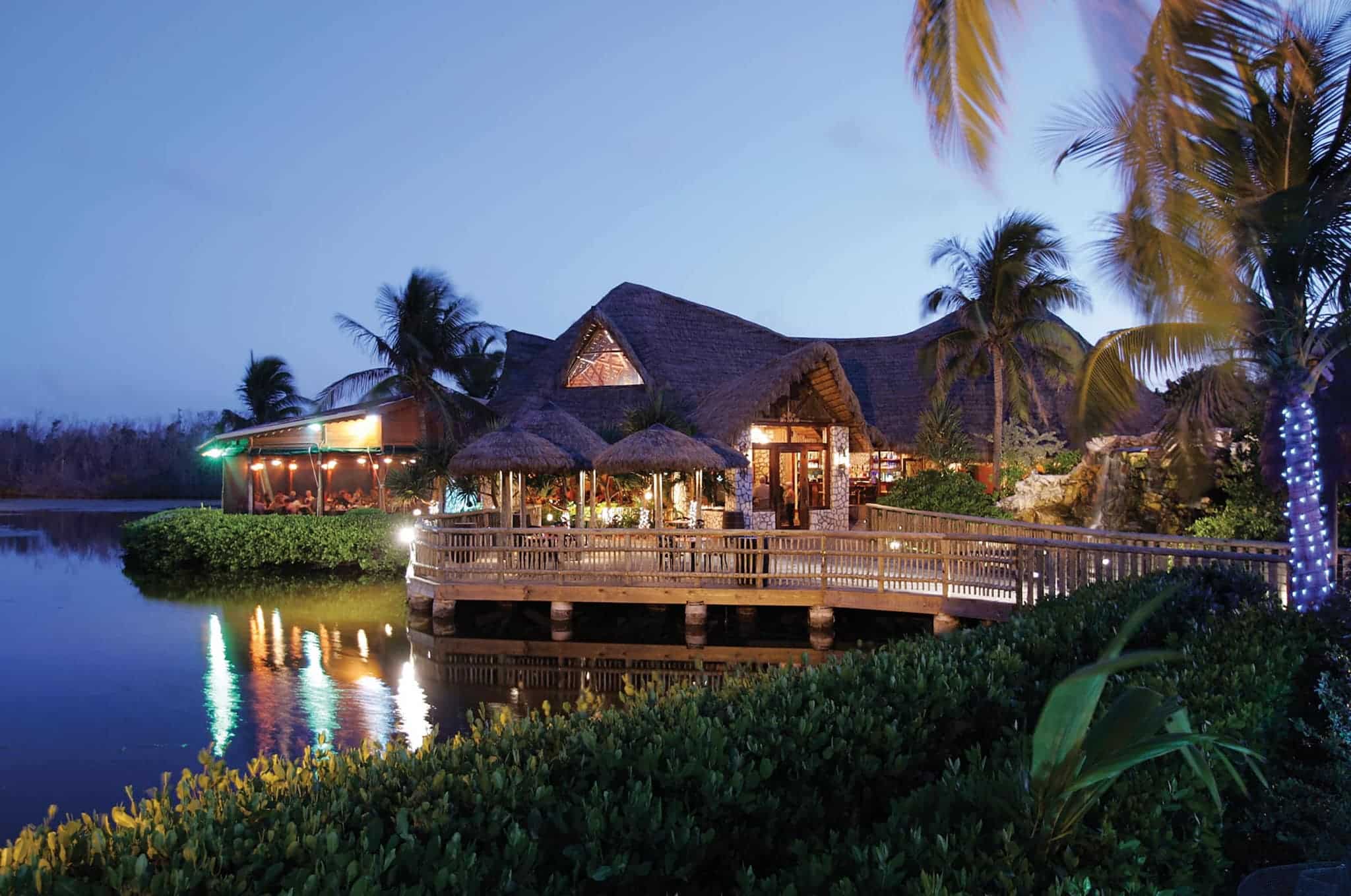Grand Cayman Papagallo