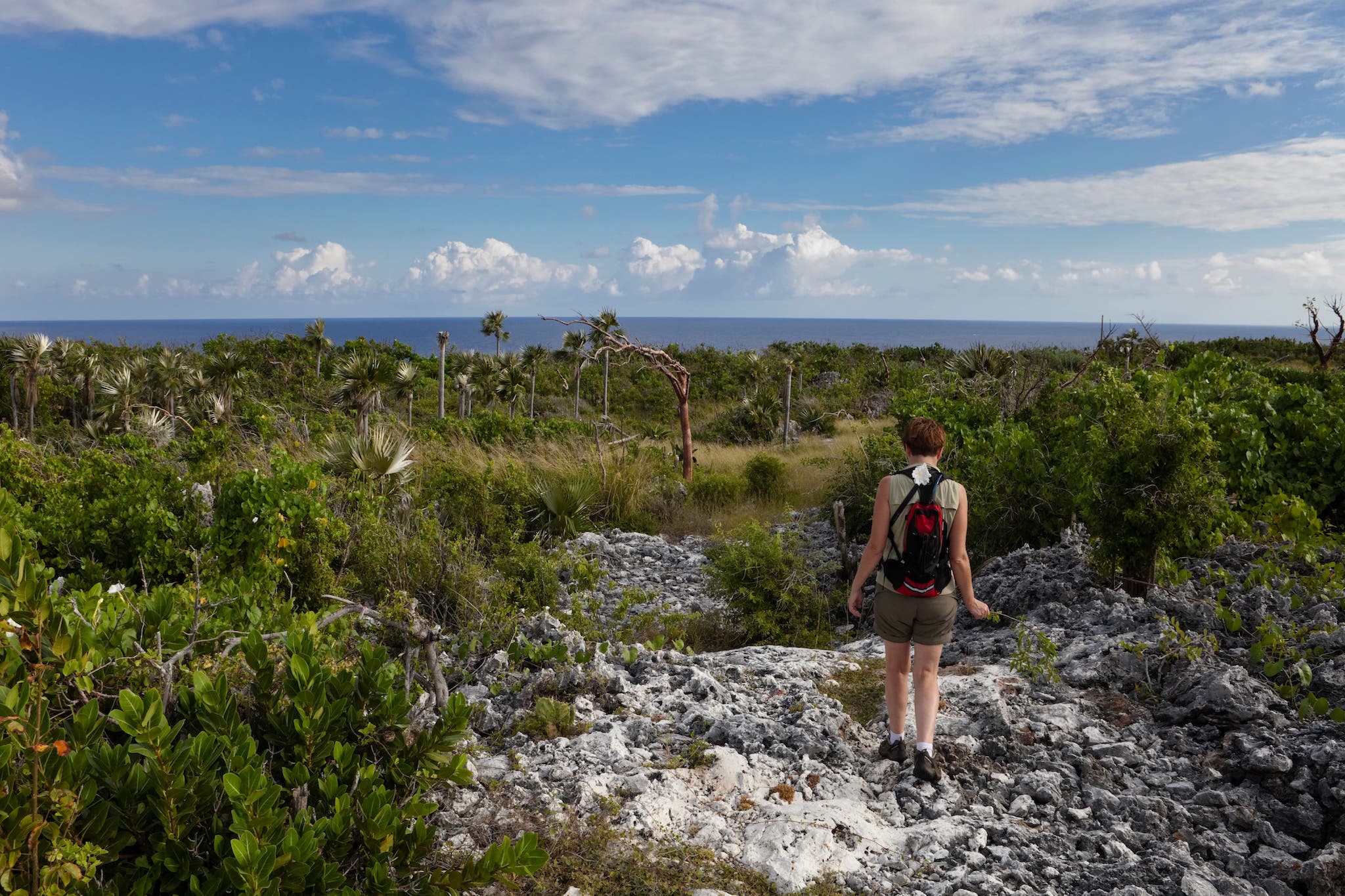 Cayman Brac Hiking