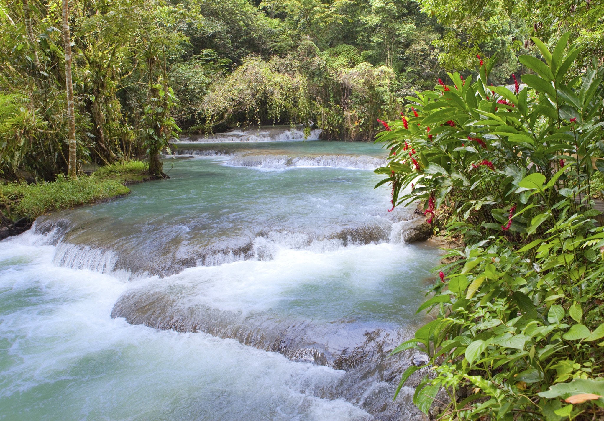 Jamaica