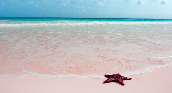 Bahamas Harbour Island Pink Sand Beach