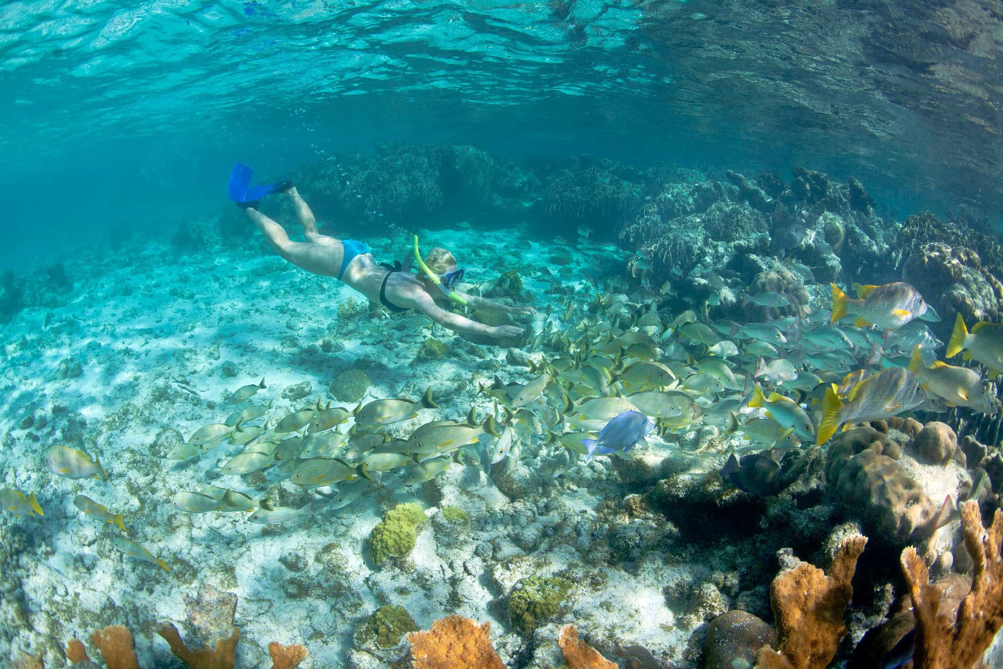 Belize Snorkeling