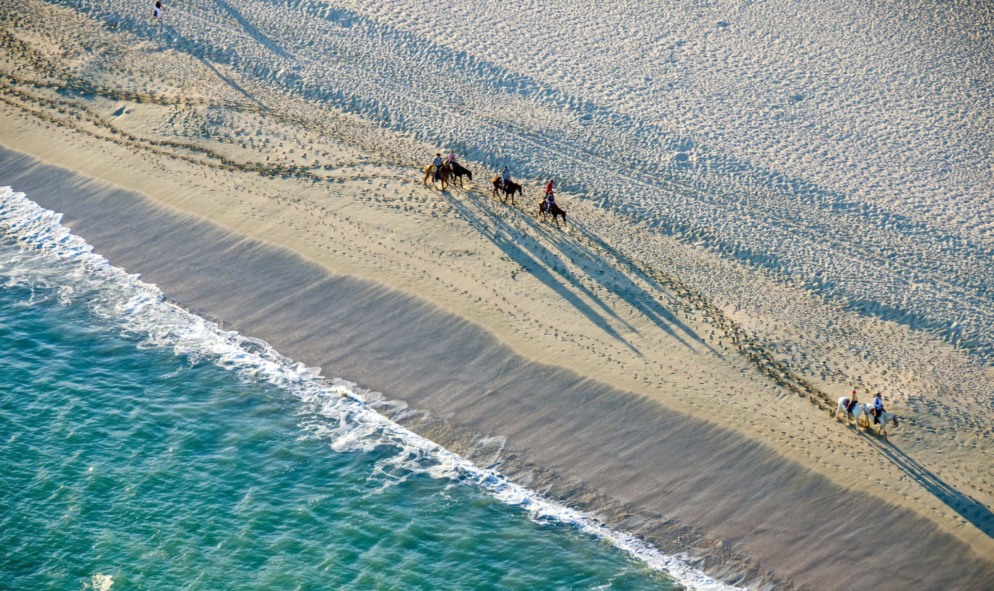Cabo Horseback Riding