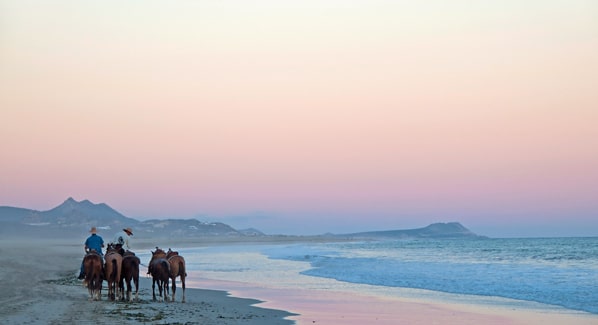 Cabo Horseback Riding