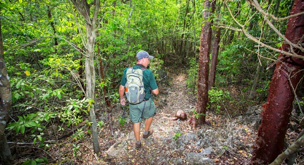 Grand Cayman Mastic Trail