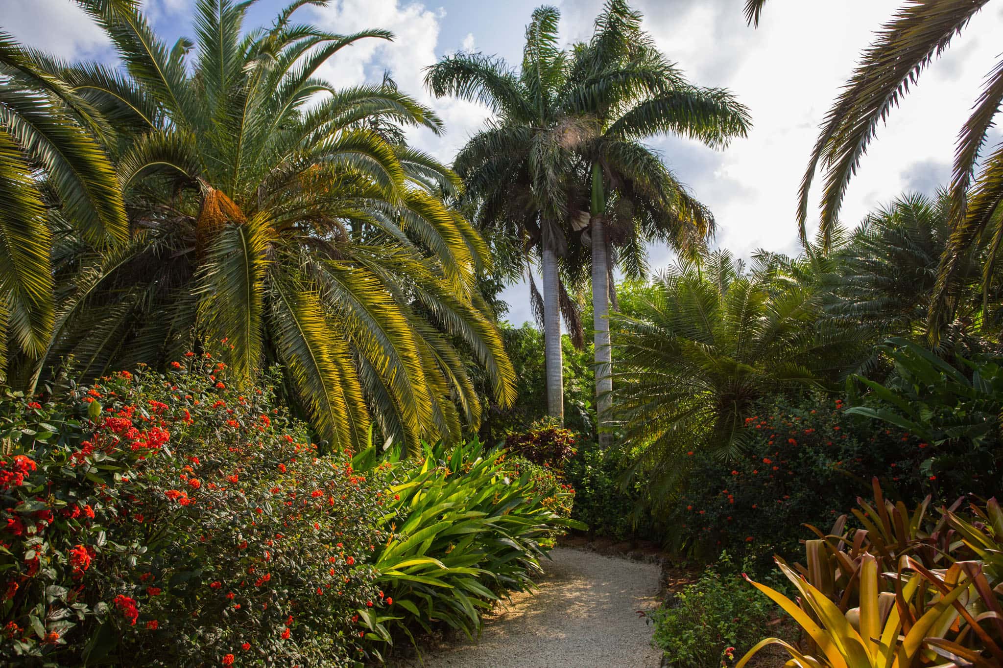 Grand Cayman Queen Elizabeth Botanical Park
