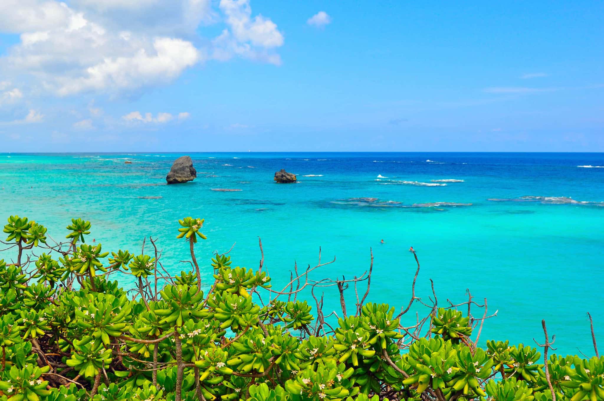 bermuda