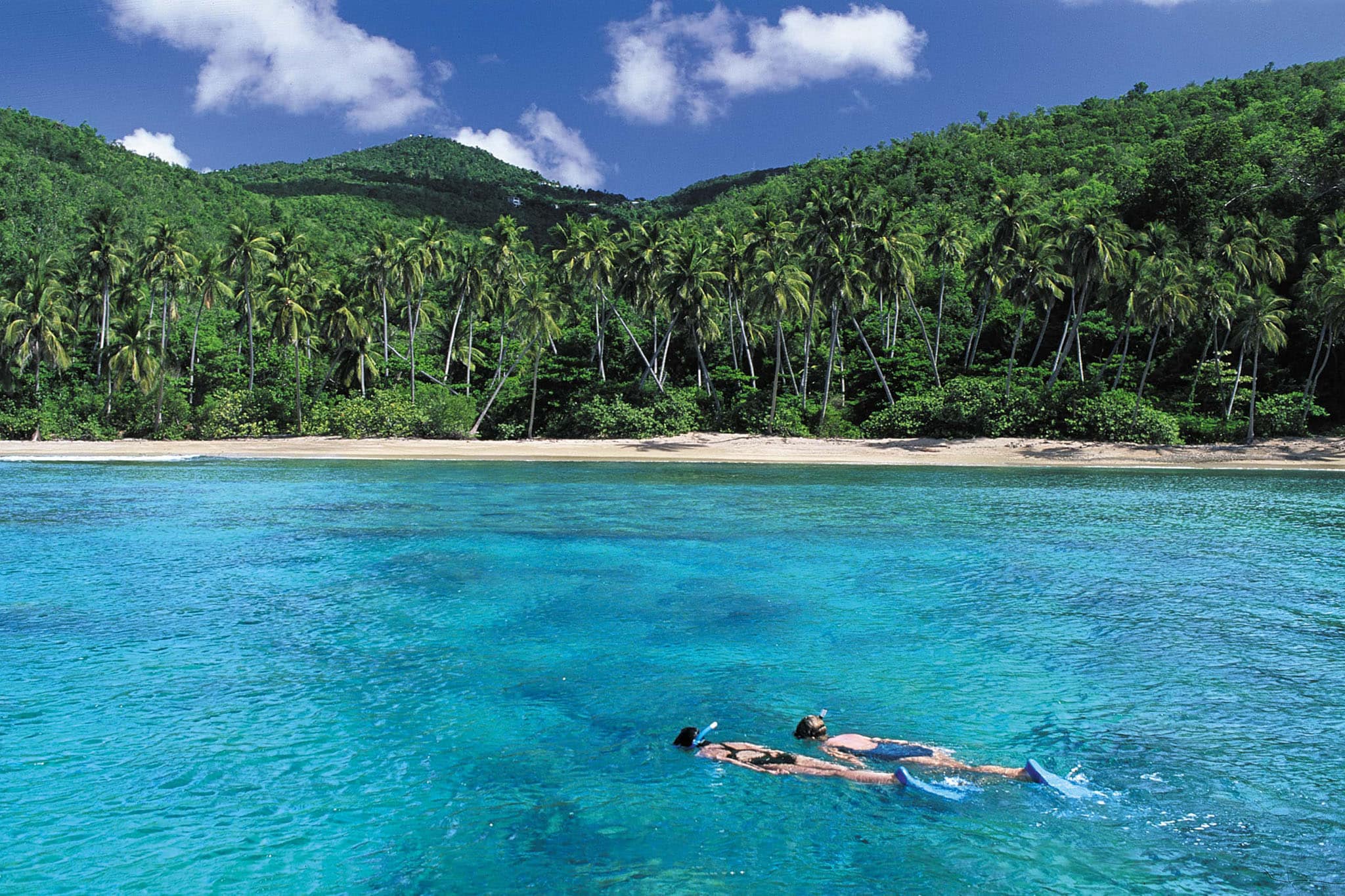 USVI Snorkeling