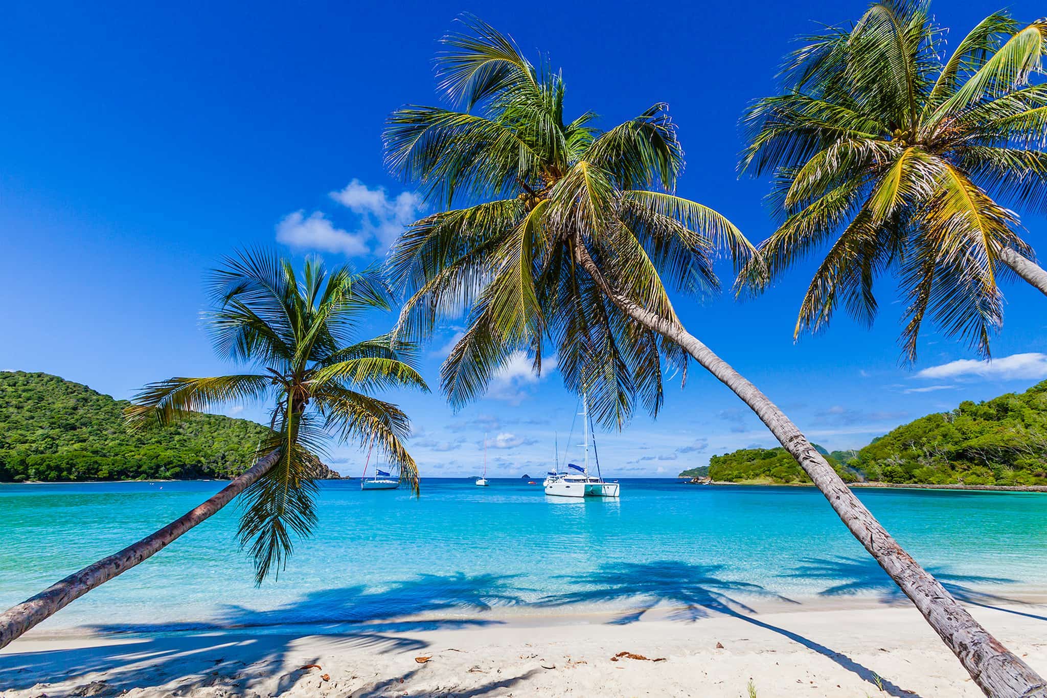 Tobago Cays Mayreau Salt Whistle, Grenadines