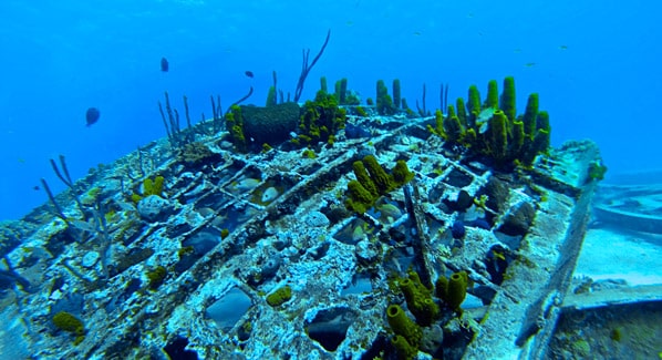 Turks & Caicos Wreck the Dome