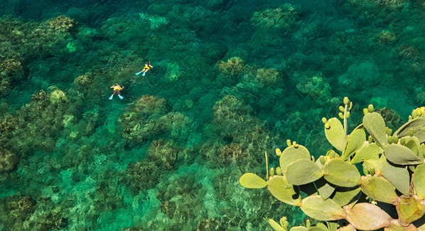 Maui Honolua Bay Hawaii
