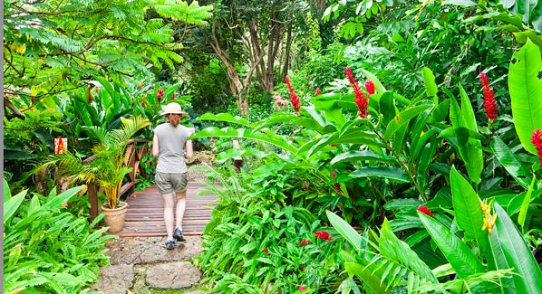 Barbados Andromeda Botanical Gardens