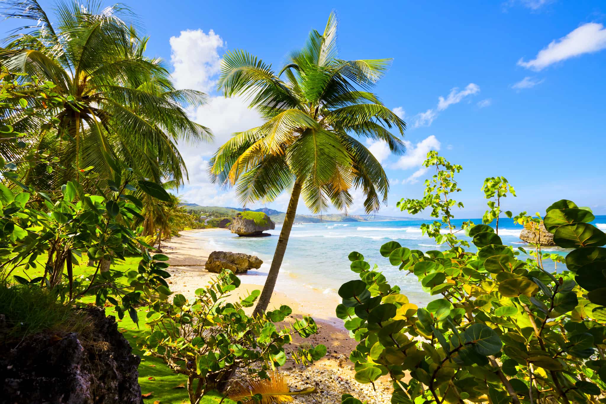 Barbados Bathsheba