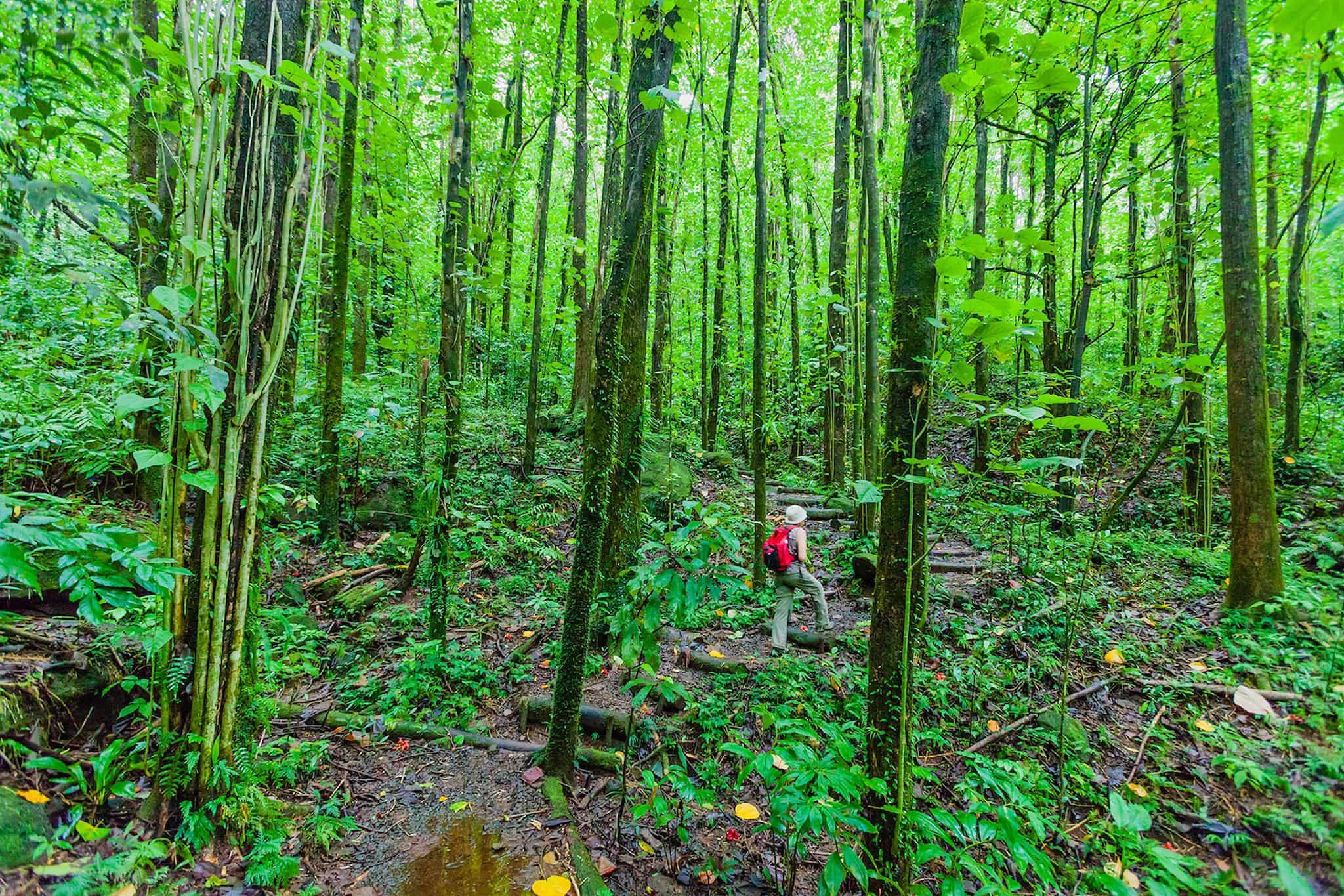 St. Vincent Vermont Nature Trail