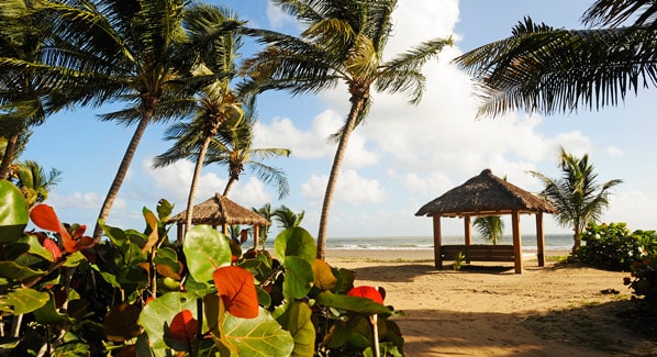 Puerto Rico St Regis