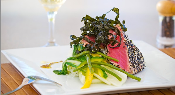 Provo Opus Tuna