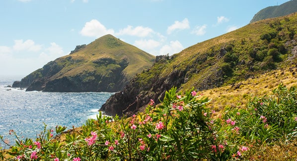 Saba