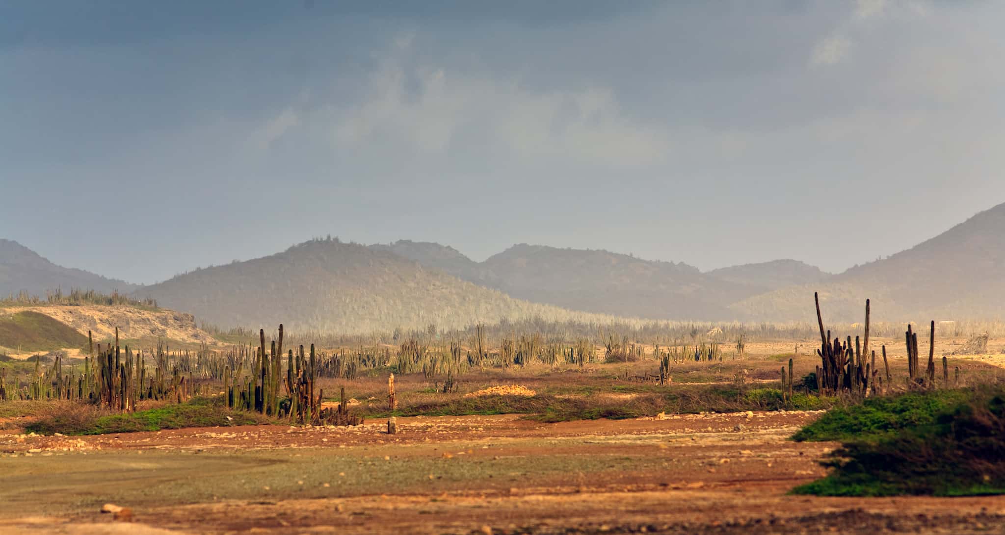 Bonaire Desert Landscape