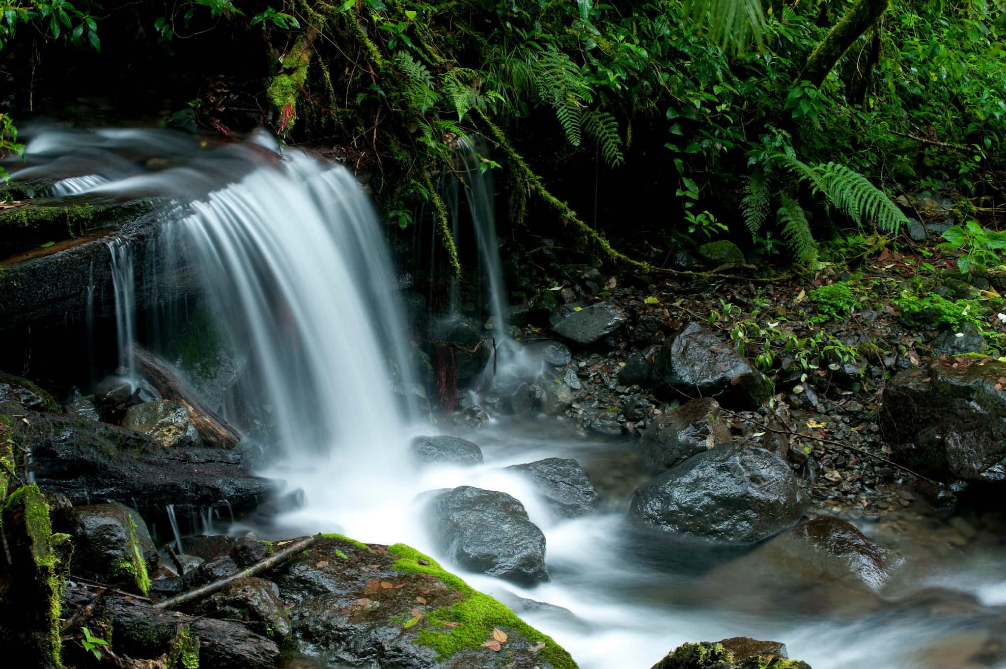 La Amistad Park Waterfall Panama
