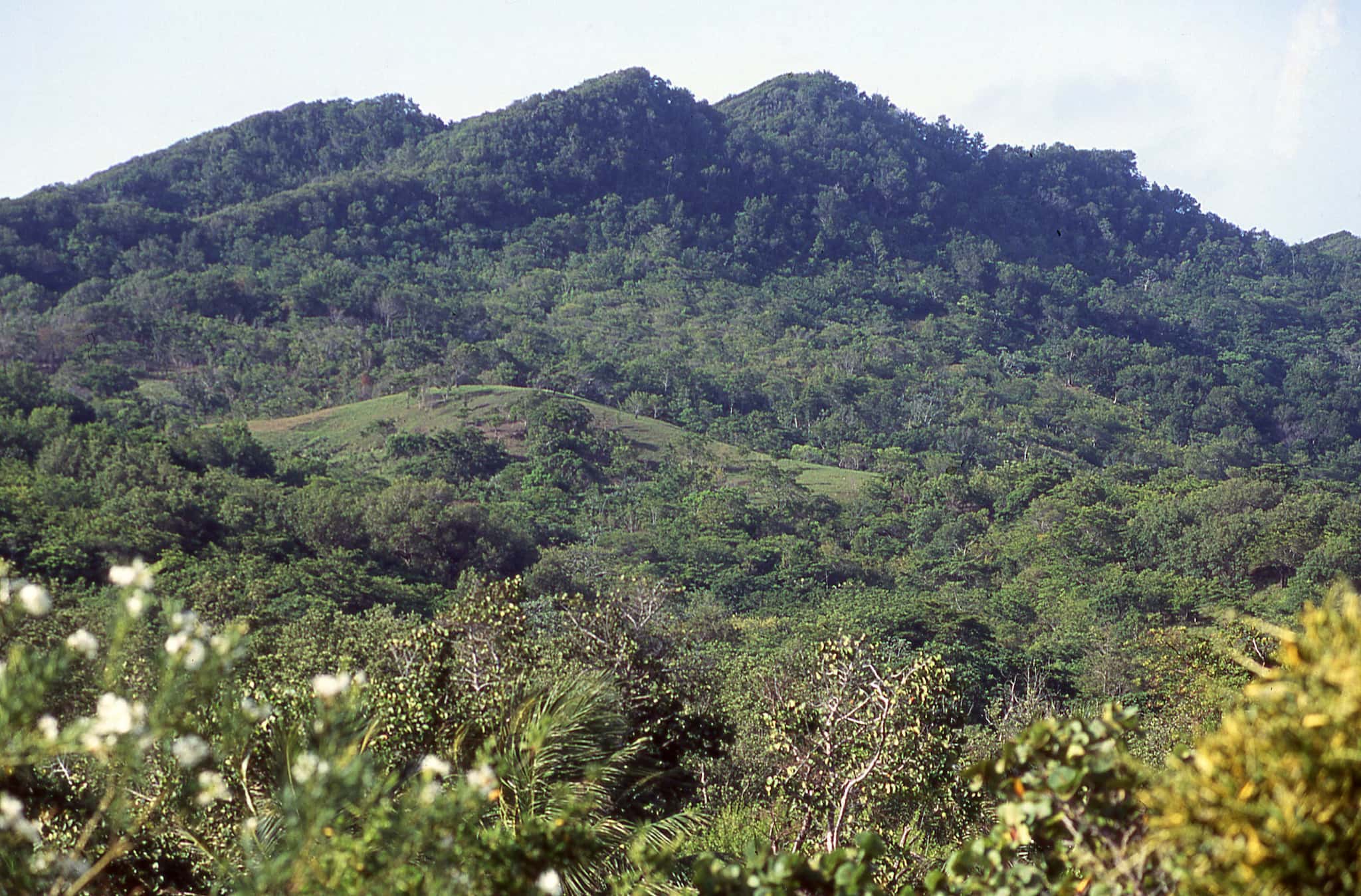 Roatan Bay