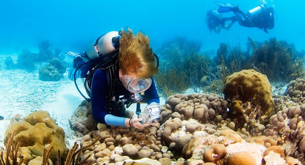 Bonaire Diving