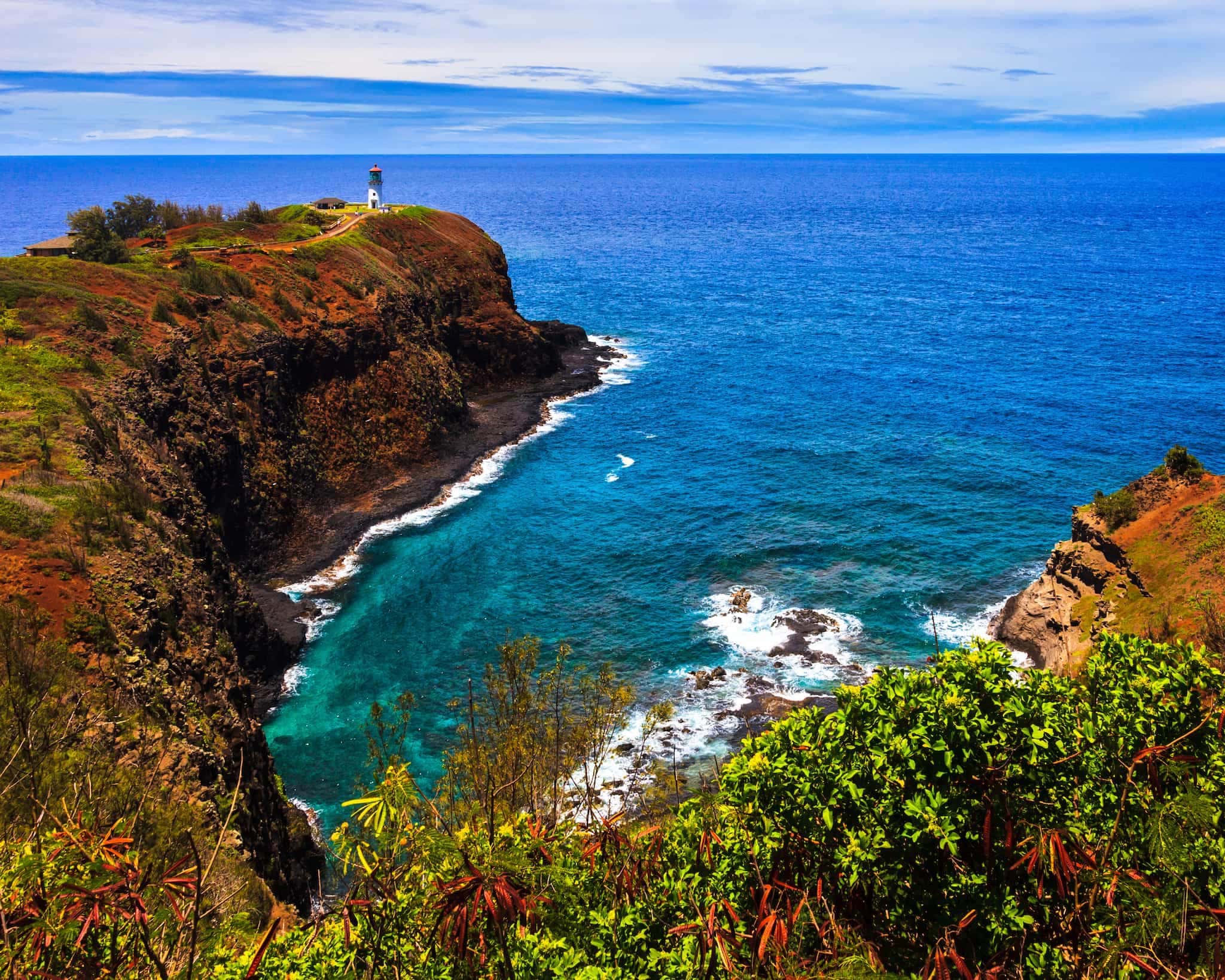Kauai Kilauea Point