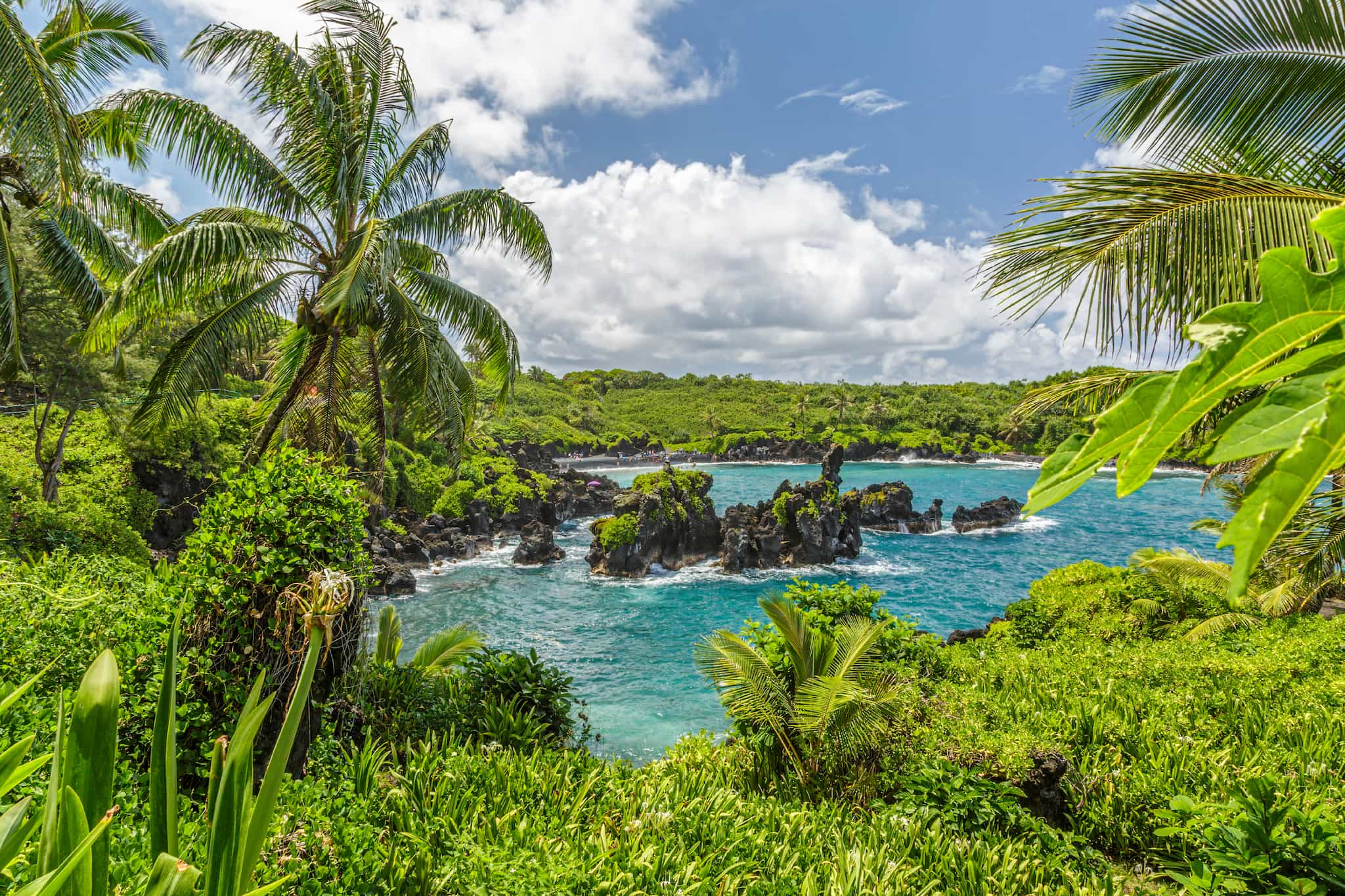 Maui Waianapanapa State Park