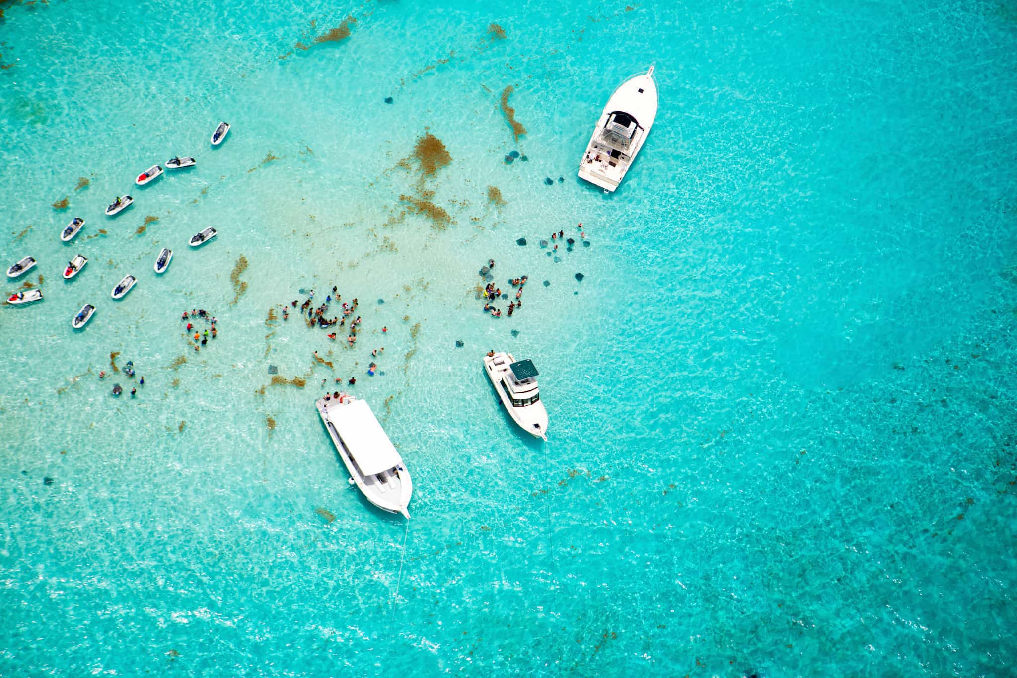 Grand Cayman Stingray City