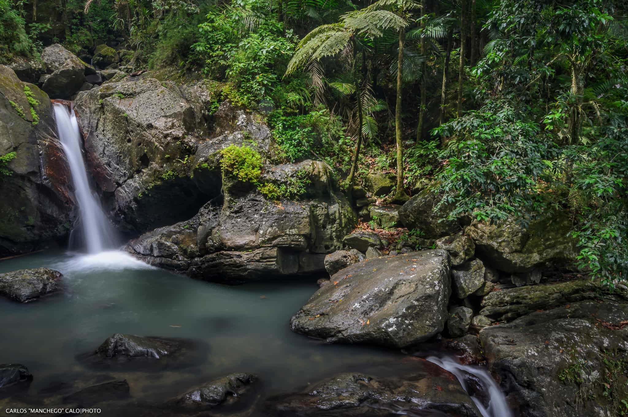 El Yunque Puerto Rico