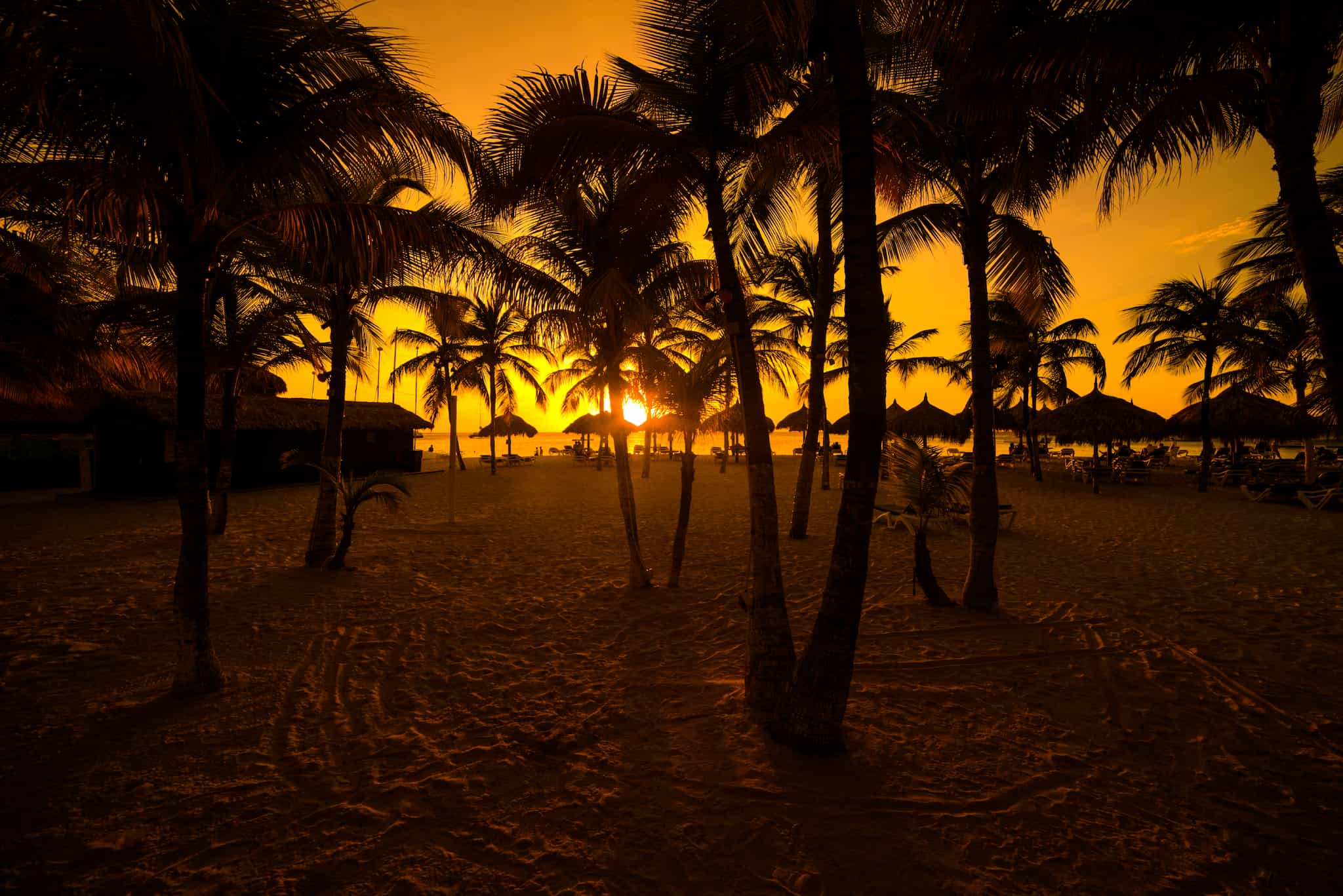 Aruba Palm Beach Sunset