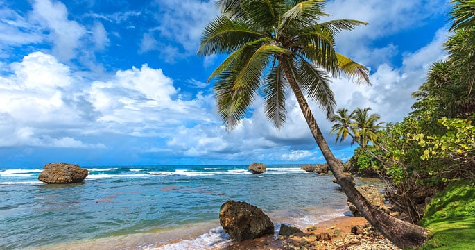 Bathsheba Beach Barbados