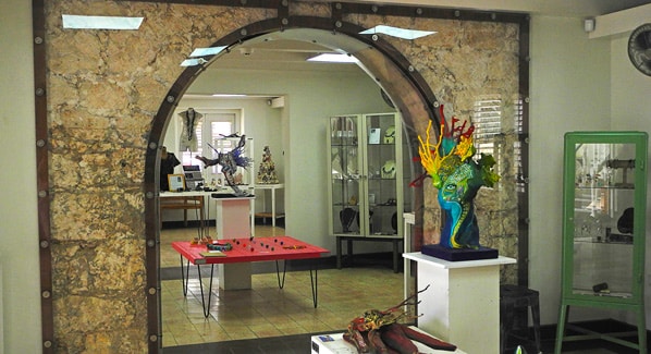 Aruba Cosecha Gallery