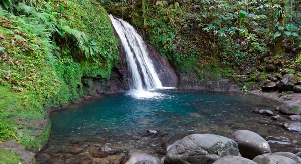 Guadeloupe La Cascade Aux Ecrevisses