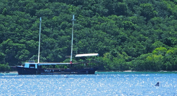 BVI Norman Island Willy T Bar