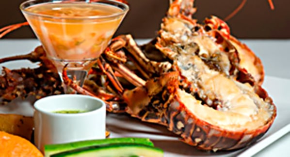 St martin Ocean 82 Lobster Langouste