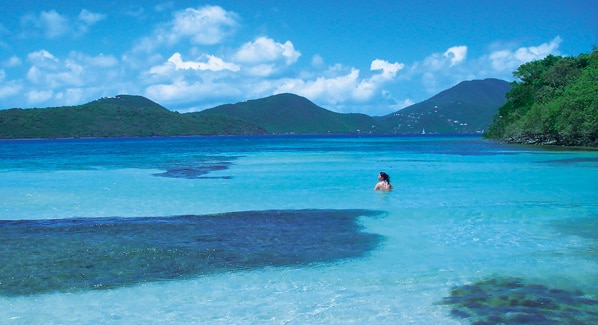 USVI St John Brown Bay