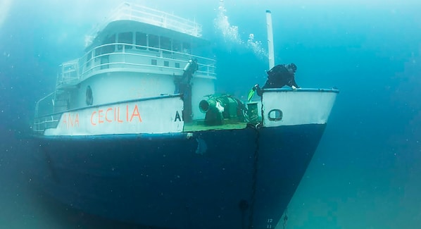 Palm Beach Ana Cecelia Divers