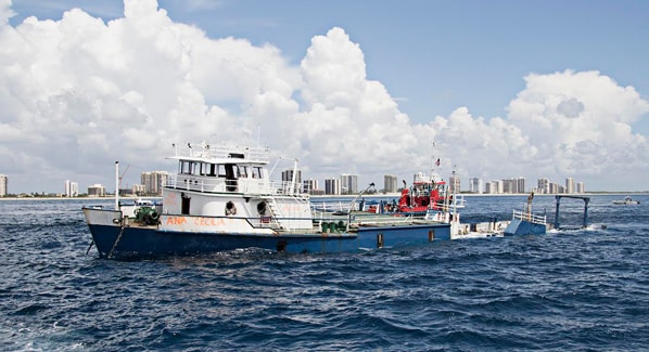 Ana Cecelia Sinking Palm Beach