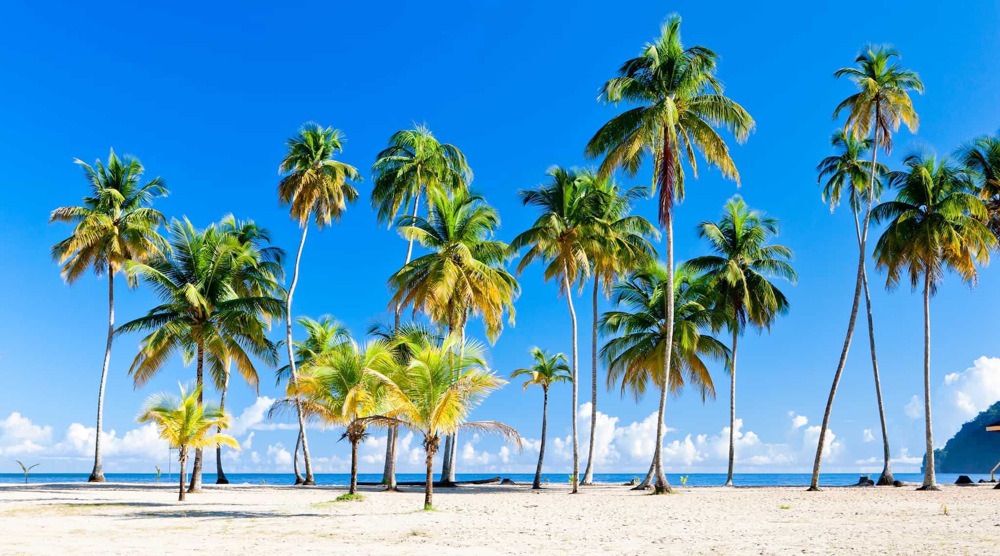Trinidad & Tobago