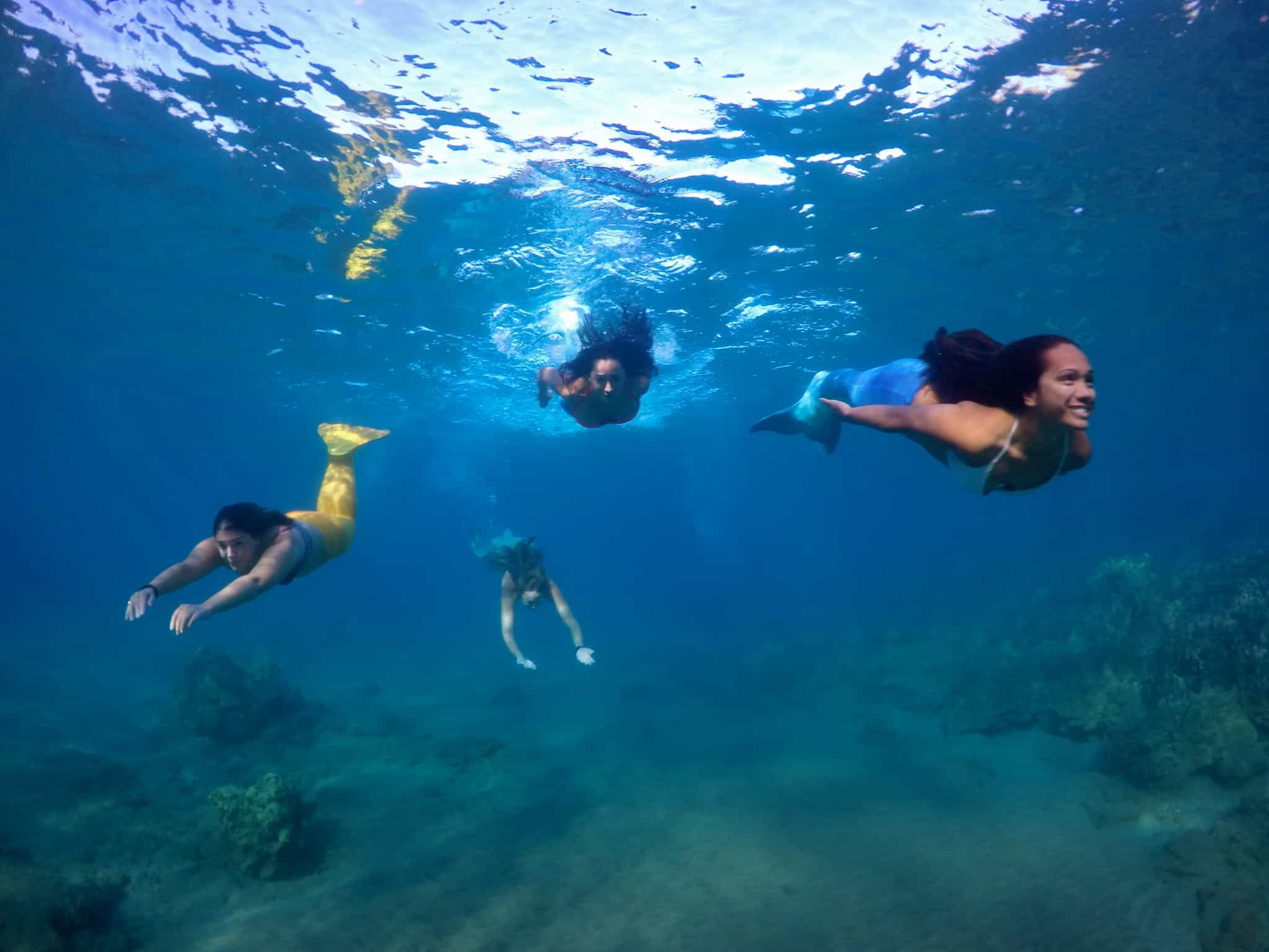 Maui Mermaid Adventures