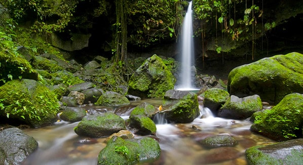 Emerald Pool Waterfall Dominica