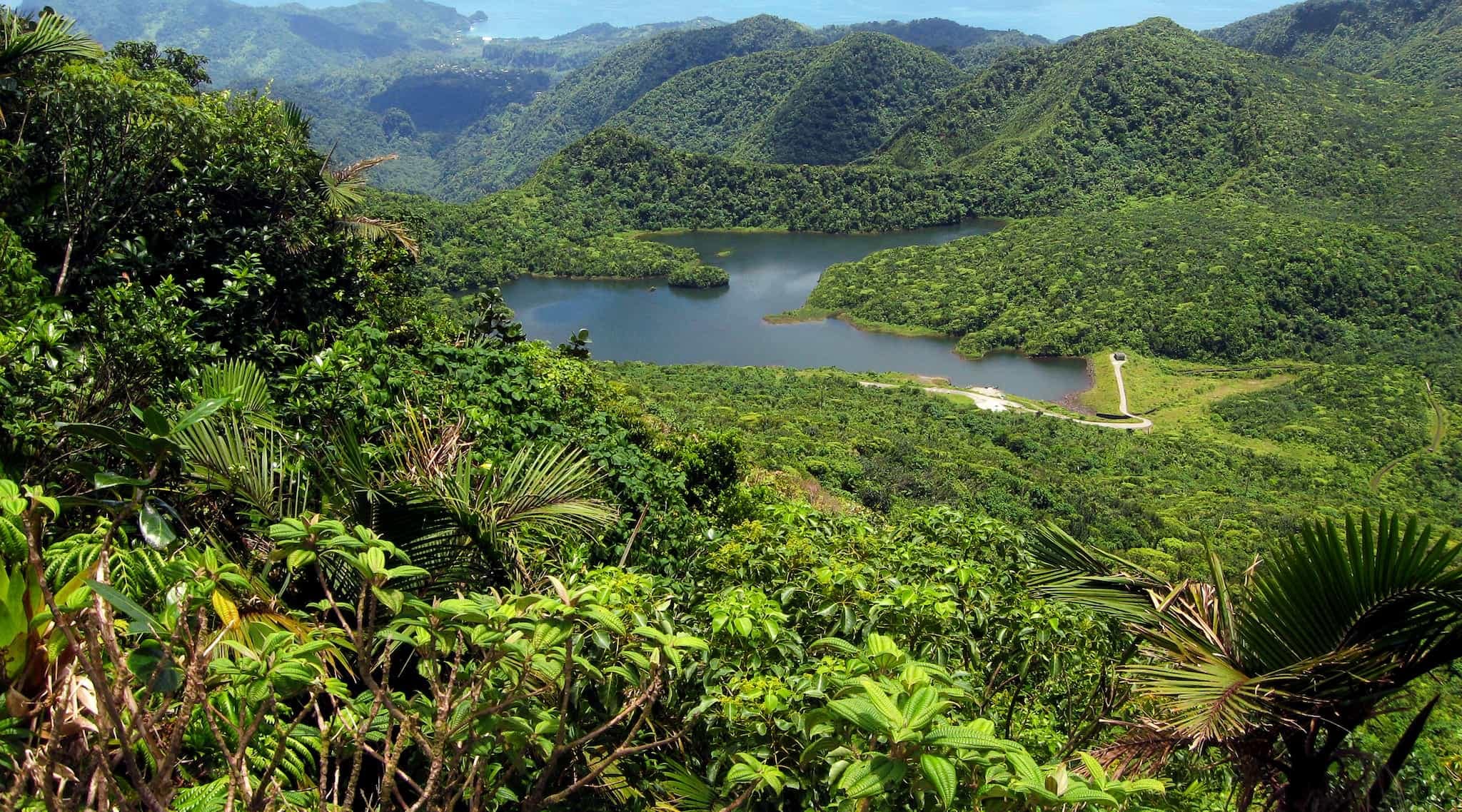 Dominica Freshwater Lake MorneTrois