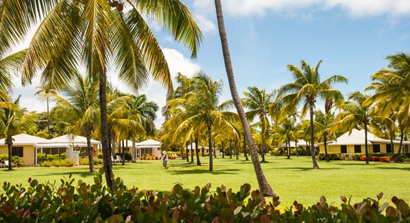 Nisbet Plantation Nevis