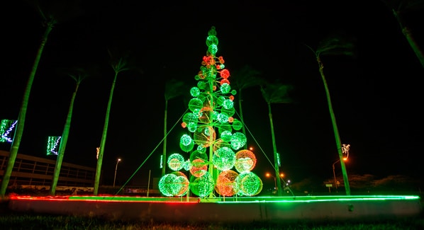Aruba Christmas Tree