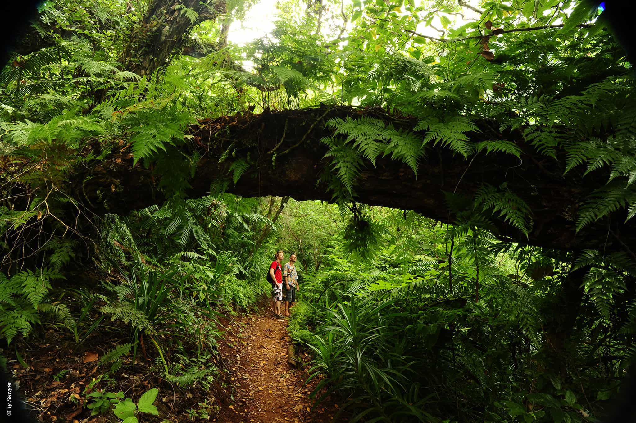 Tahiti Mooriea Hiking