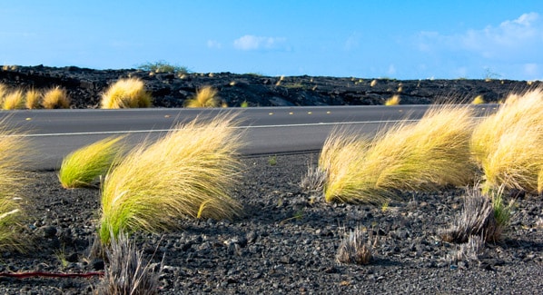 Chain Of Craters Grass