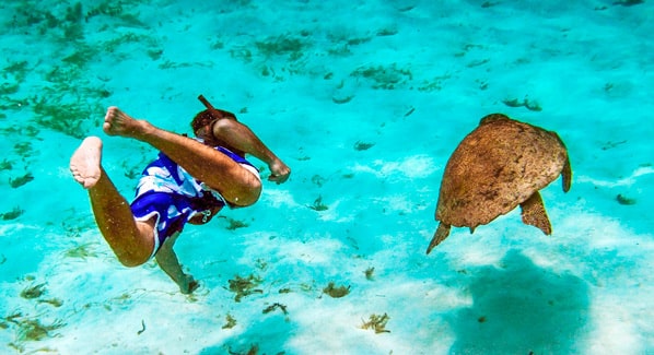 Belize Turtle Inn Snorkel