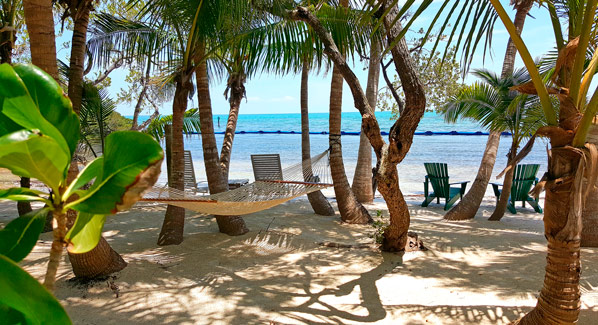 Marathon Seabird Island
