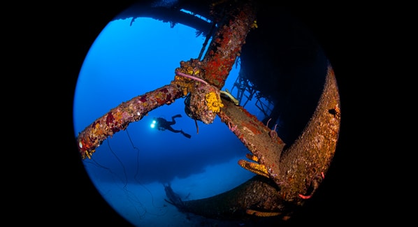 Buddy Dive Resort Diving Bonaire